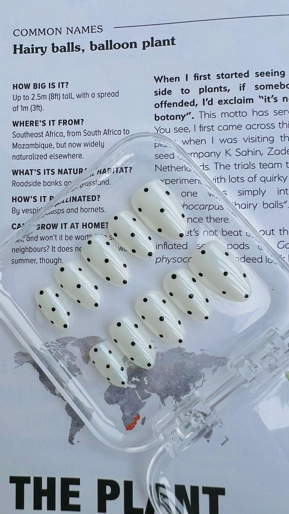 Polka White