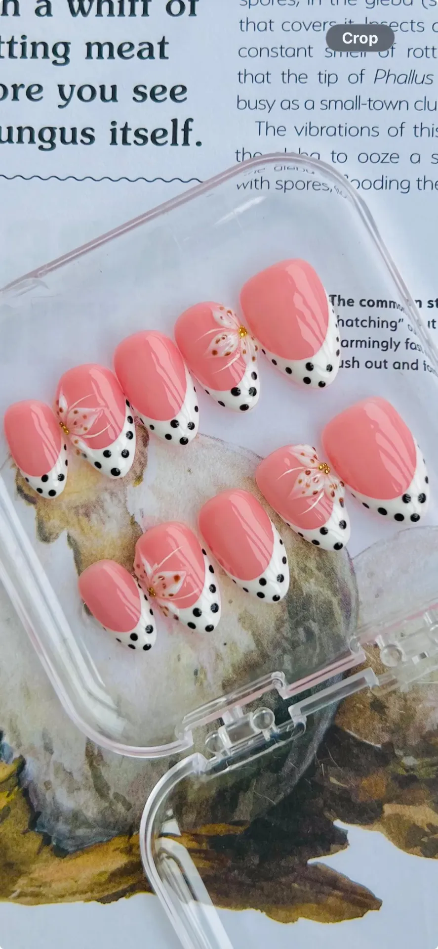 Rosy Petals