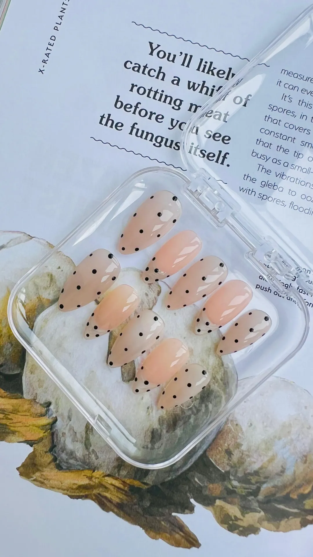 Polka Élégance (M)